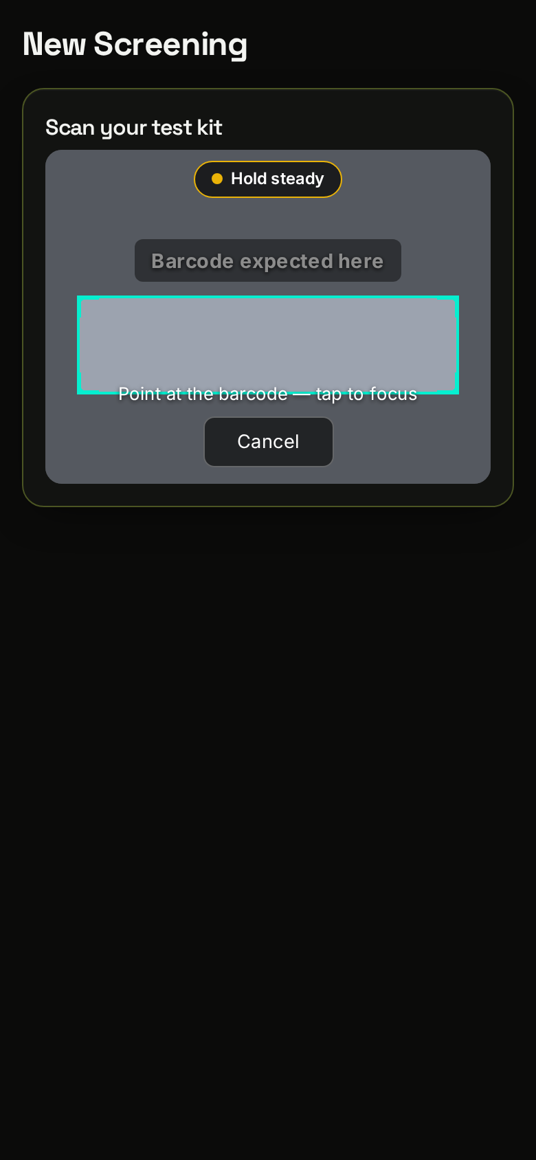 Phone screen of a screening step, with a grey placeholder where the camera view appears